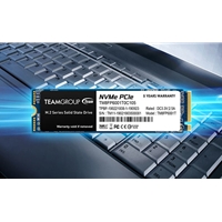 Team MS30 (TM8PS7256G0C101) 256GB, M.2 Sata Interface, PCIe Gen3, Read 550MB/s, Write 470MB/s, 3 Year Warranty - Image 5