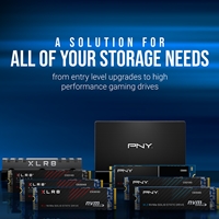 PNY (M280CS1030-500-RB) CS1030 M.2 NVMe 500GB SSD, PCIe Gen3 x4, Sequential Read of up to 2,000 MB/s and Write of up to 1,100 MB/s - Image 6