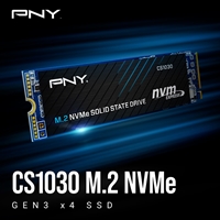 PNY CS1030 (M280CS1030-250-RB) 250GB SSD, PCIe Gen3 x4 Interface,Max Read 2500MB/s, MaxWrite 1100MB/s, 5 Year Limited Warranty - Image 3