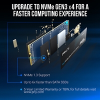 PNY CS1030 (M280CS1030-250-RB) 250GB SSD, PCIe Gen3 x4 Interface,Max Read 2500MB/s, MaxWrite 1100MB/s, 5 Year Limited Warranty - Image 5